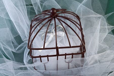 Rings tied together in a closed cage with tulle の写真素材