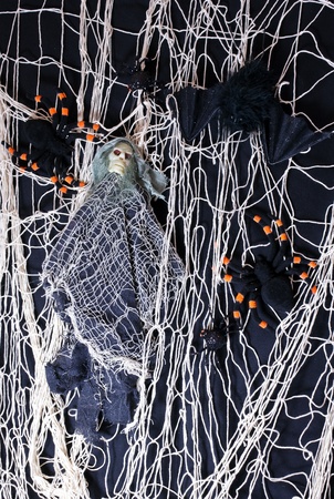 Mummy and spiders on a web with a batの写真素材