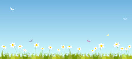 Summer fieldのイラスト素材