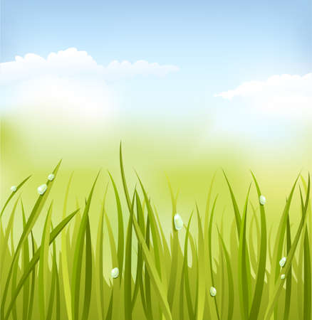 Green grassのイラスト素材