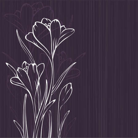 Lilac design with crocus silhouettesのイラスト素材