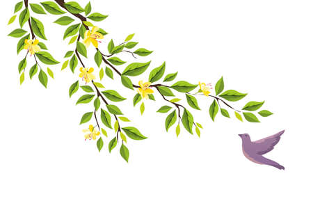 Springtimeのイラスト素材