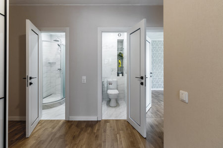 Interior and entrance doors in the new apartment.
