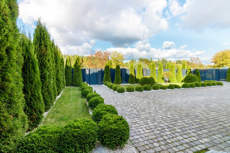 Lawn with thuja on border with pedestrian pathway made of paving slabs in park.の写真素材