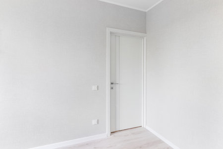 Modern white door. Gray wall with free space. Minimalist bright interior.の写真素材