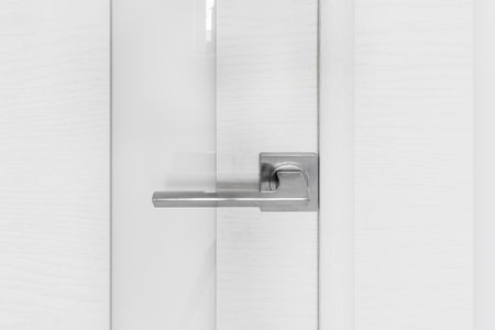 Detail of a metallic knob on white door horizontal.の写真素材