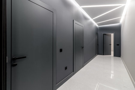 Simple clean newly built generic modern new real estate block of flats interior, long black corridor with black doors, perspective. New bought apartment, new home, hallway abstract conceptの写真素材