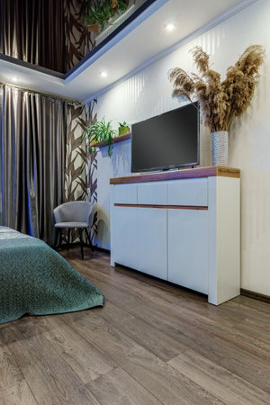 Modern room with TV bed, glossy black ceiling and Bouquet of dry grass.の写真素材