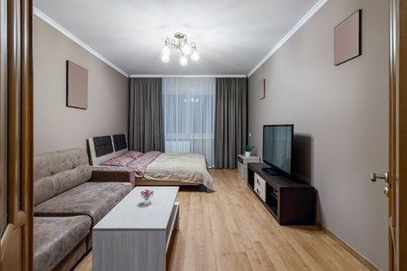 Gomtinaya in a small apartment with sofa, TV, large bed and coffee table.の写真素材