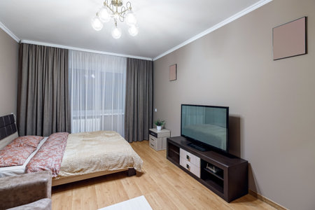 Gomtinaya in a small apartment with sofa, TV, large bed and coffee table.の写真素材