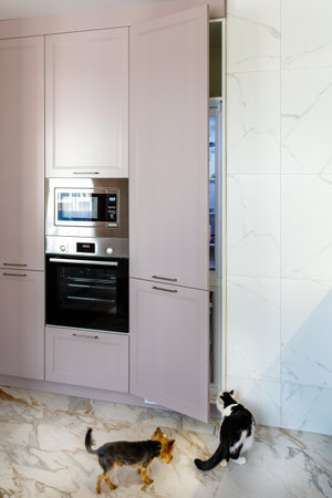 Kitchen furniture in a modern style in a new apartment with a dining tableの写真素材