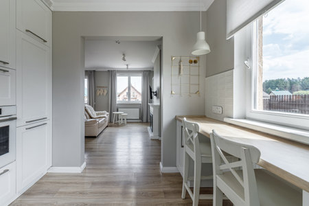 Stylish interior of a modern bright kitchen with a window, in a new house.の写真素材