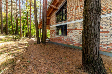 A house under construction in a pine forest on a sunny autumn day.の写真素材