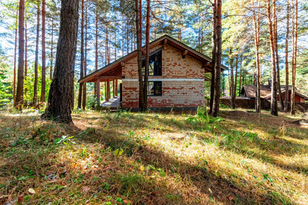 A house under construction in a pine forest on a sunny autumn day.の写真素材