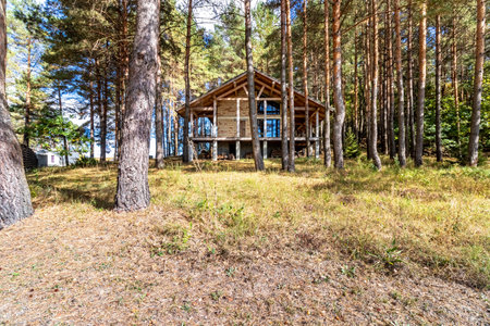 A house under construction in a pine forest on a sunny autumn day.の写真素材
