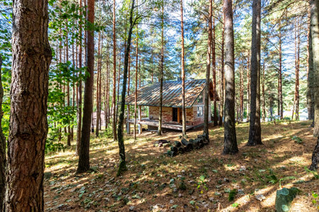 A house under construction in a pine forest on a sunny autumn day.の写真素材