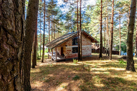 A house under construction in a pine forest on a sunny autumn day.の写真素材