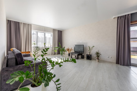 Bright modern living room with indoor plants, TV and grey curtains in natural daylight.の写真素材