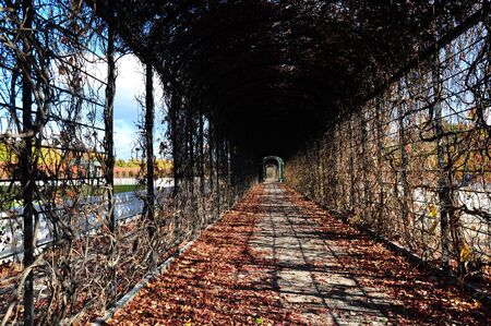 Path around the royal garden, Schoenbrunn Palace, Vienna, Austriaのeditorial素材