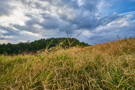 Mountain terrain with cloudy sky in north of Thailandの写真素材