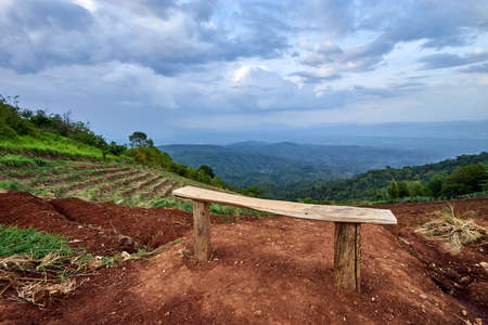 Handmade Branch Terrace Vegetable Growing in the mountainsの写真素材