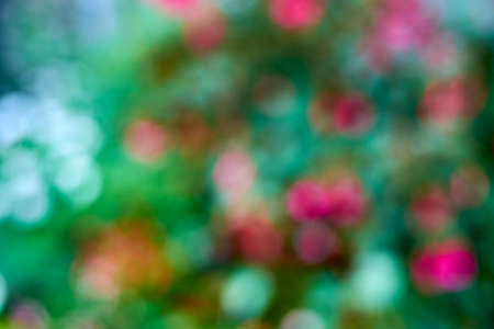 green and pink bokeh background,green bokeh,green bokeh abstractの写真素材
