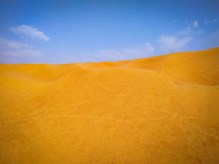 Sand dunes in the desertの写真素材
