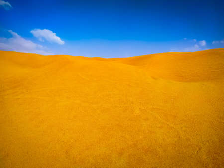 Sand dunes in the desertの写真素材