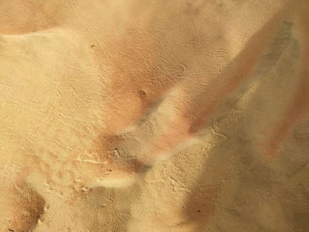 texture of beach sand as backgroundの写真素材