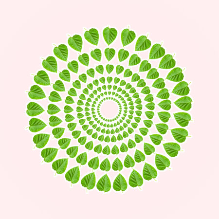 A mulberry green leaves circle on white background