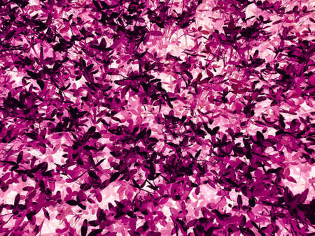A abstract Dark pink leaves texture background