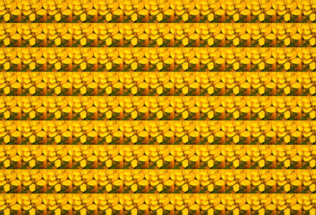 3D rendering seamless pattern with beautiful mustard flower petals