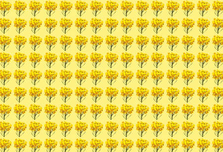 3D rendering seamless pattern with beautiful yellow mustard flowersの写真素材