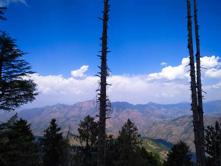 cloudy sky over the mountains with pine trees