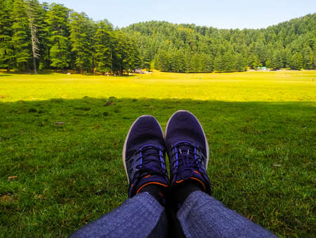 shoes on the meadow with paintの写真素材