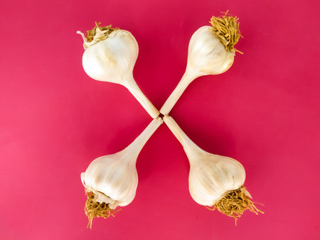 <p>Four garlic bulbs on a pink background. Top view. Flat lay.</p>の写真素材