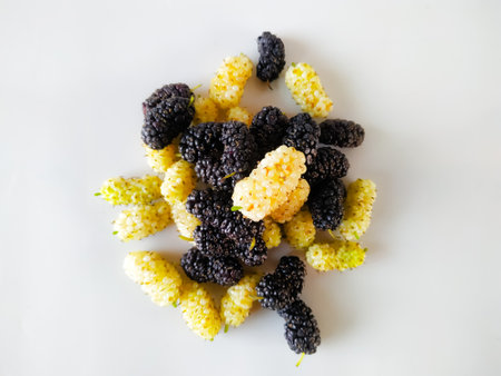 Black and white Mulberry fruit on white background. Top view, flat lay.の写真素材