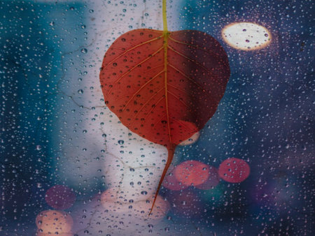 Rain drops on the window with bodhi leaf and bokeh background