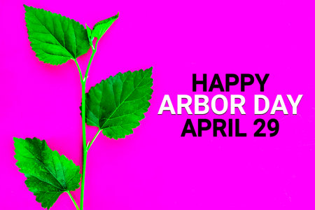 Happy Arbor Day April 29 with on pink background, top viewの写真素材