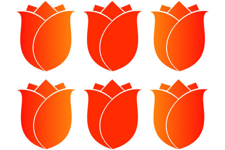 Set of orange and red roses isolated on a white background. illustration.の写真素材