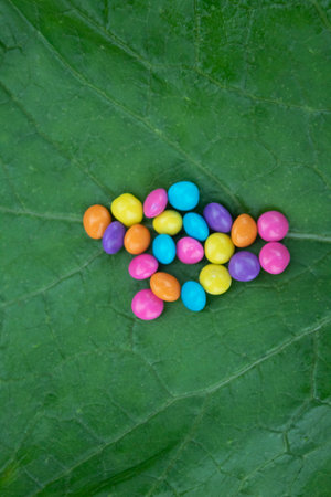 Colorful candies on a green leaf background. Top view.
