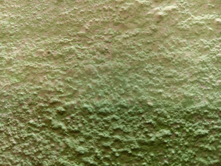 Rough Green Plaster Wall Texture Background With Natural Weathered Surface