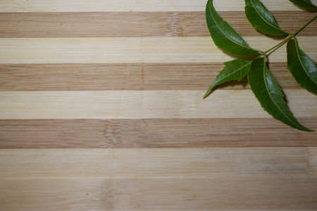 Neem leaves on wooden plankの写真素材