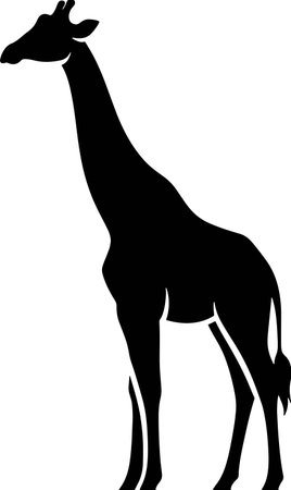 Giraffe - Black and White Illustration, Isolated on White Backgroundのイラスト素材