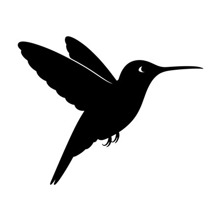 Hummingbird black silhouette isolated on white background. Vector illustration.のイラスト素材