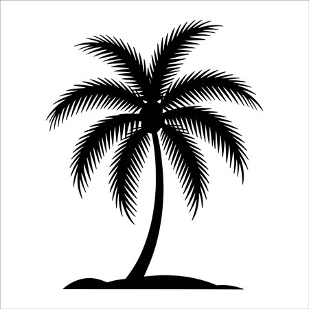 Silhouette of palm tree on white background. Vector illustration.のイラスト素材