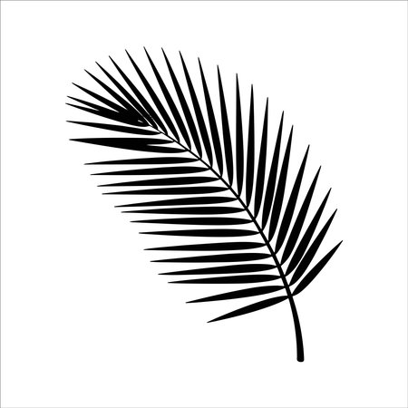 Palm leaf silhouette isolated on white background. Vector Illustration.のイラスト素材