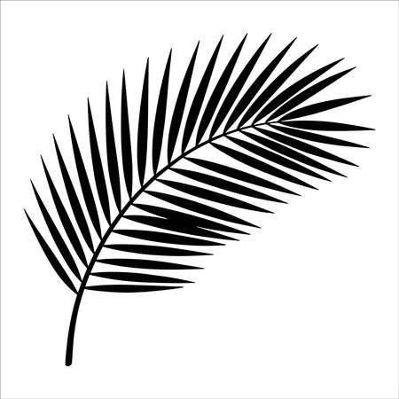 Palm leaf silhouette. Isolated on white background. Vector illustration.のイラスト素材