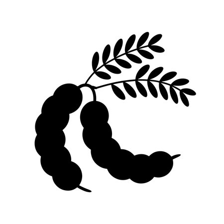 sweet tamarind fruit icon over white background, silhouette style, vector illustrationのイラスト素材