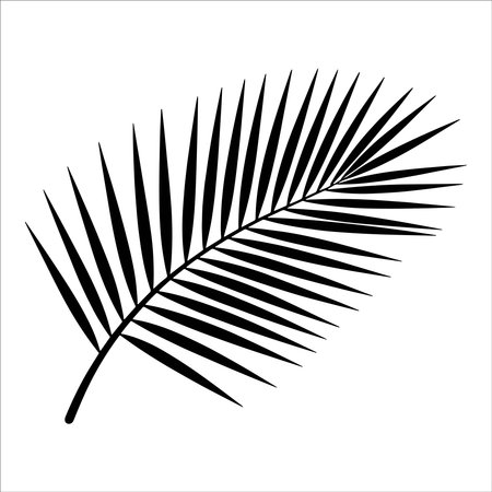 Palm leaf silhouette isolated on a white background. Vector illustration.のイラスト素材